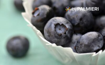 I Flavonoidi: Il Segreto Colorato per un Cervello Giovane e un Cuore Forte
