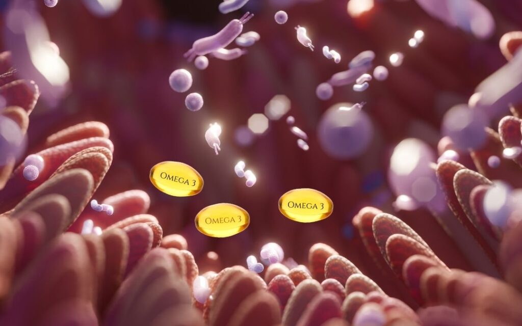 Omega-3. L'intestino è la nostra prima barriera; se lui è in disordine, l'infiammazione viaggia in tutto il corpo.