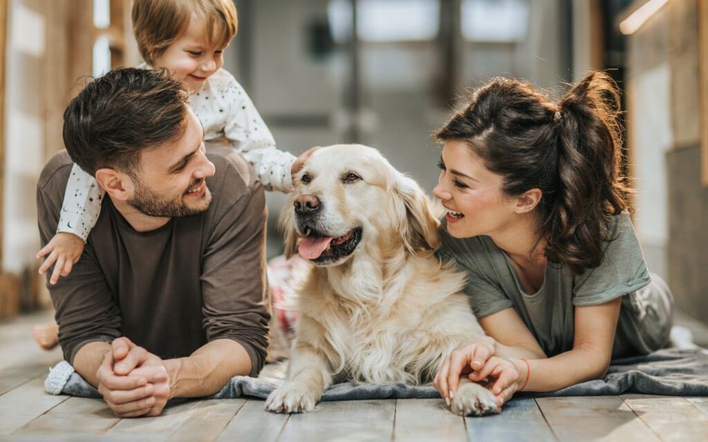 Scopri come prenderti cura del tuo cane in modo sostenibile e amorevole.